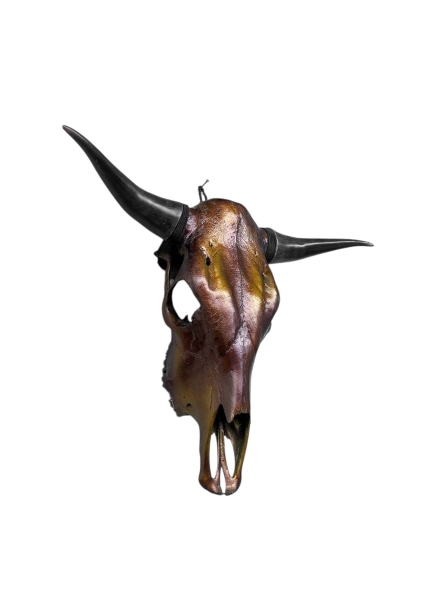 Stieren schedel- Metallic bruin