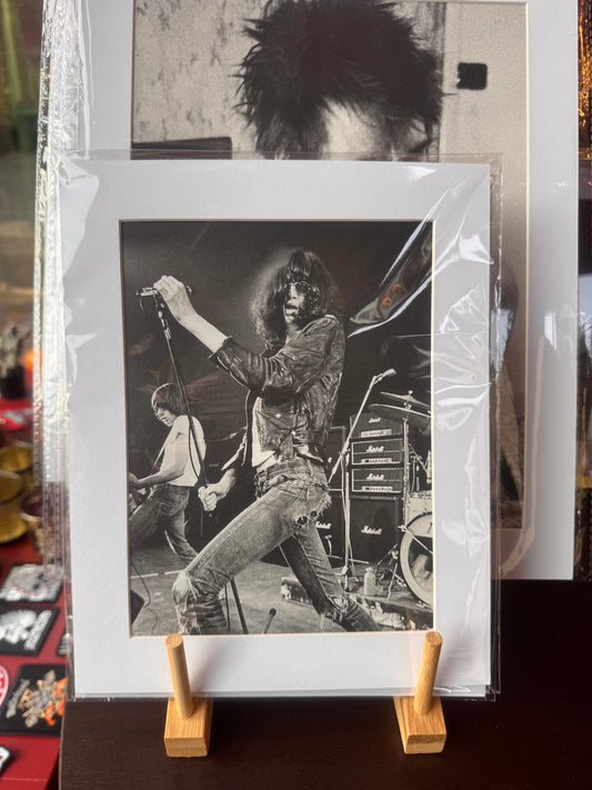 Joey Ramone - Passe-Partout photo Print 1/1