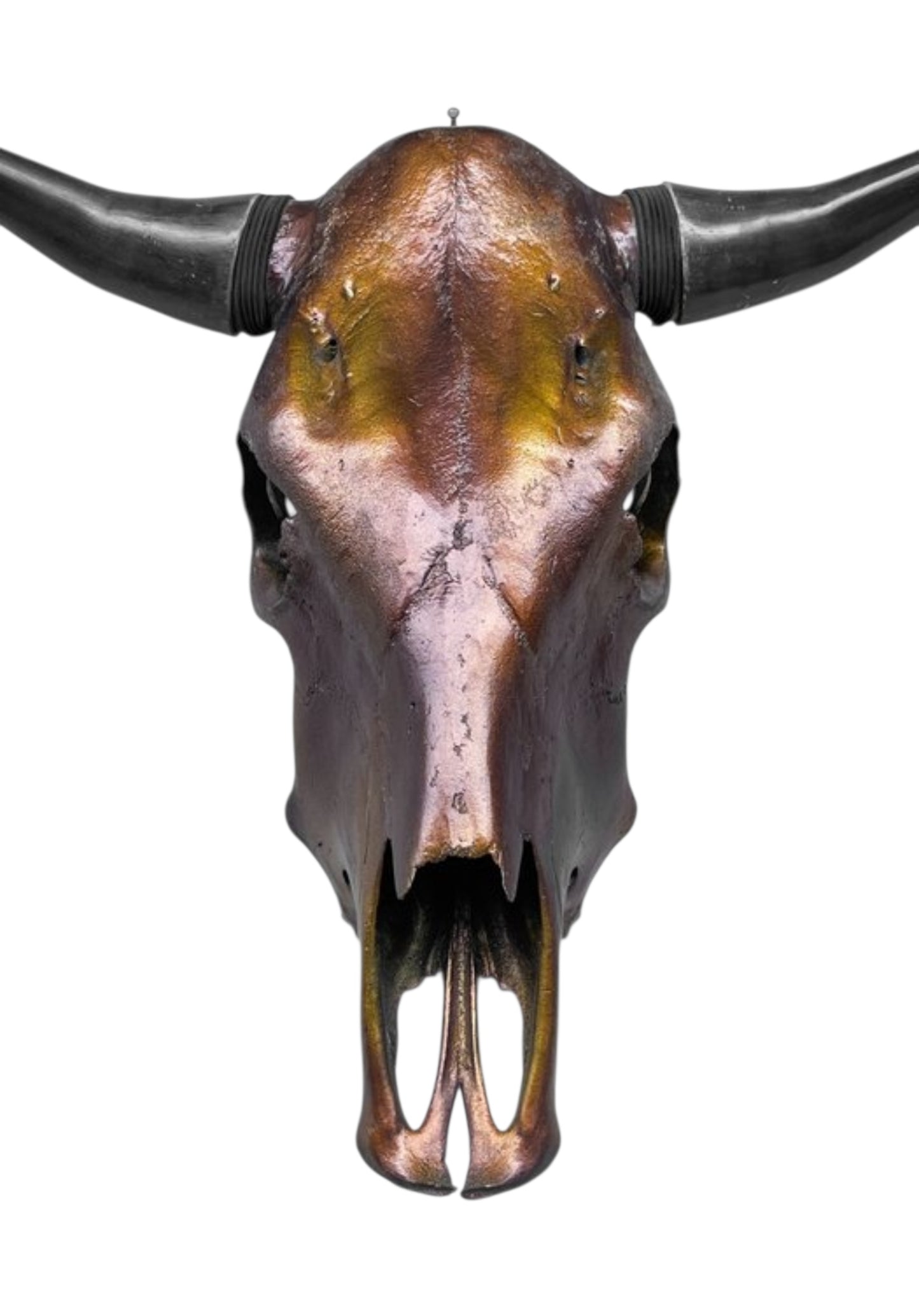 Stieren schedel- Metallic bruin