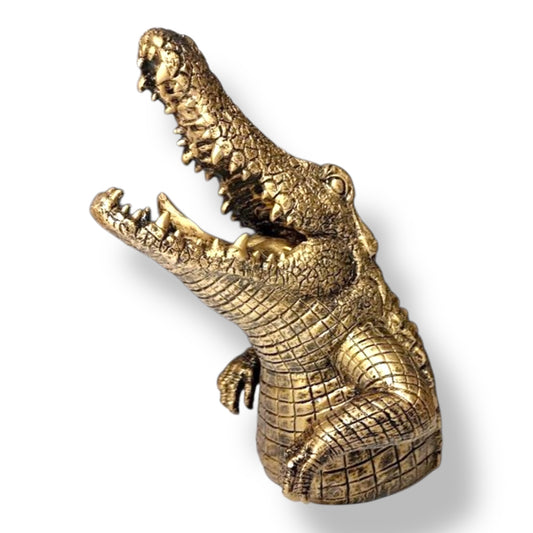 Krokodil beeld