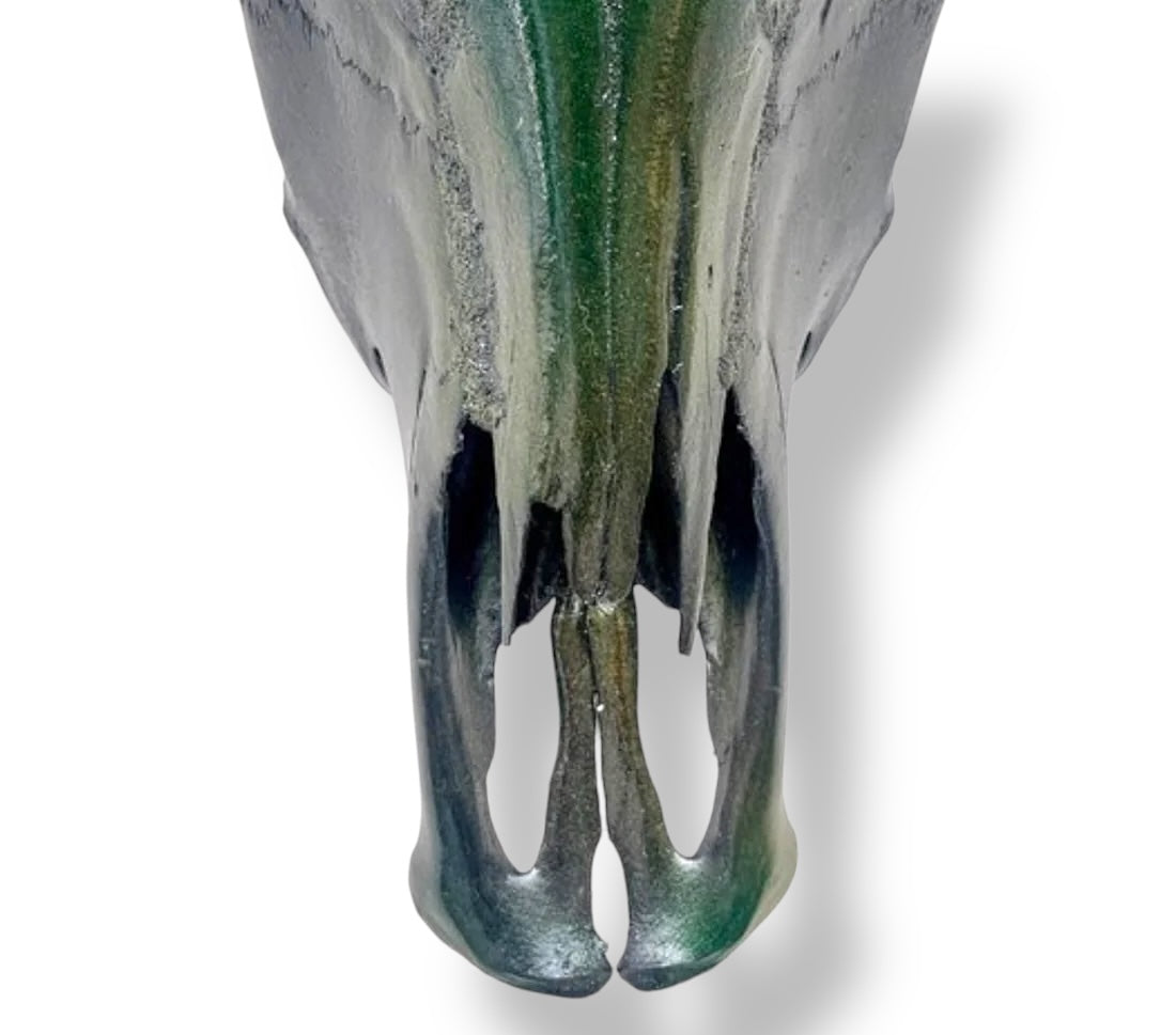 Stieren schedel - Metallic Groen