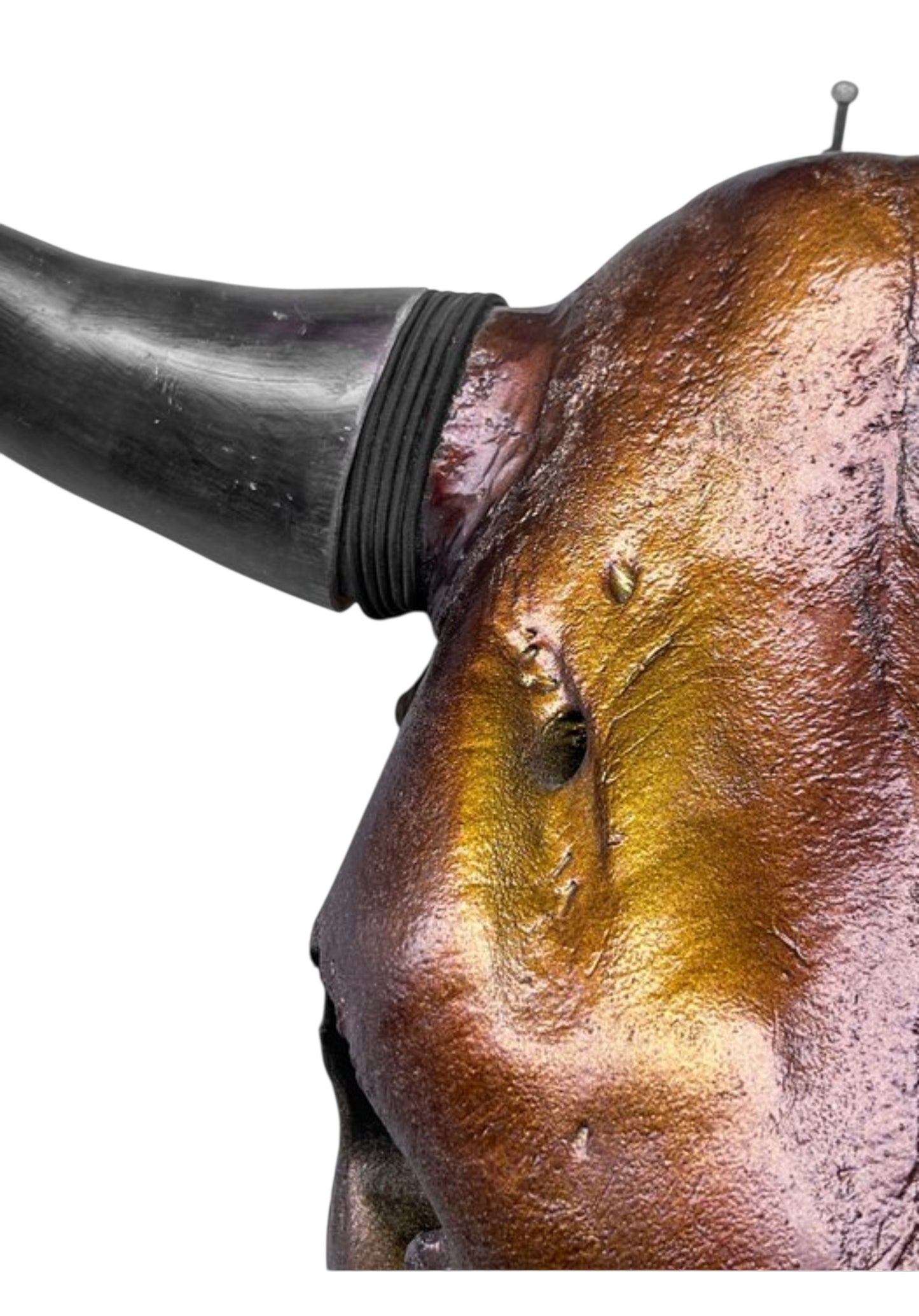 Stieren schedel- Metallic bruin