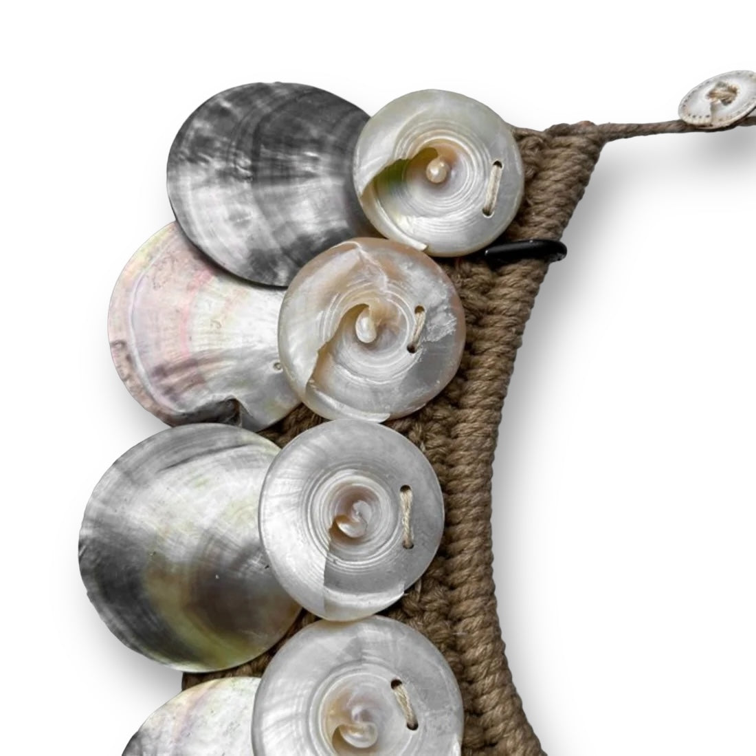 Iriserende schelpen ornament