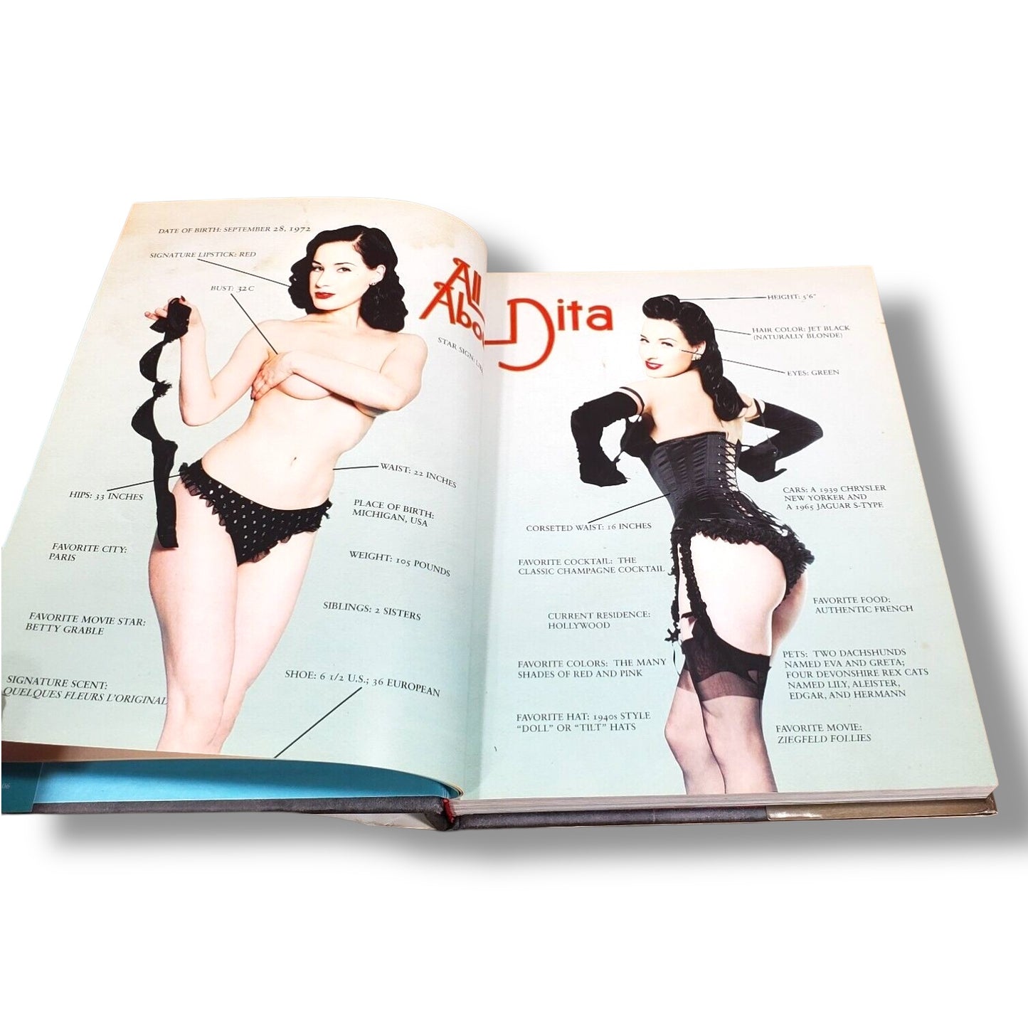 Burlesque and the art of the Teese - Dita Von Teese
