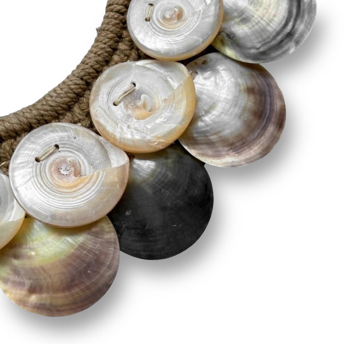 Iriserende schelpen ornament