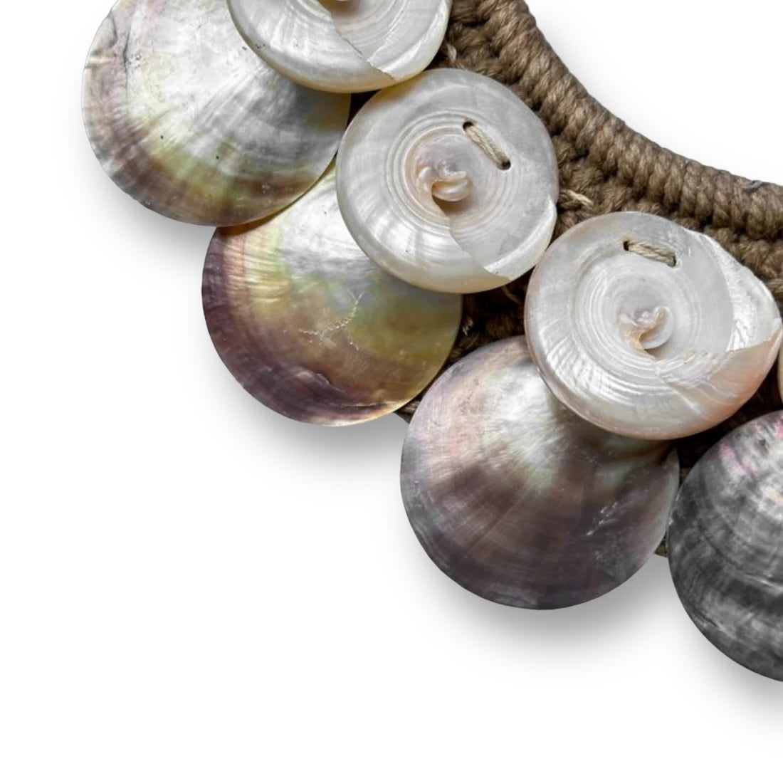 Iriserende schelpen ornament