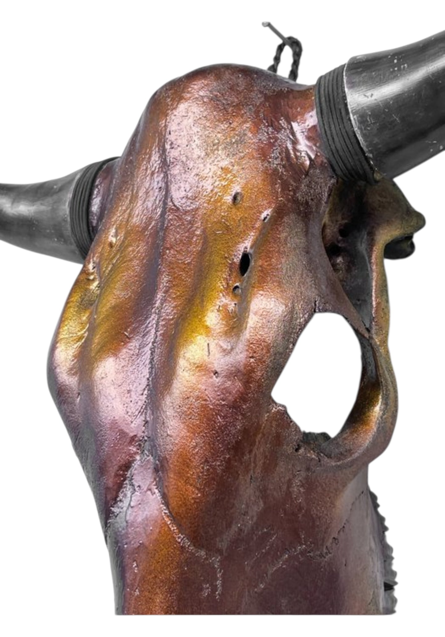 Stieren schedel- Metallic bruin