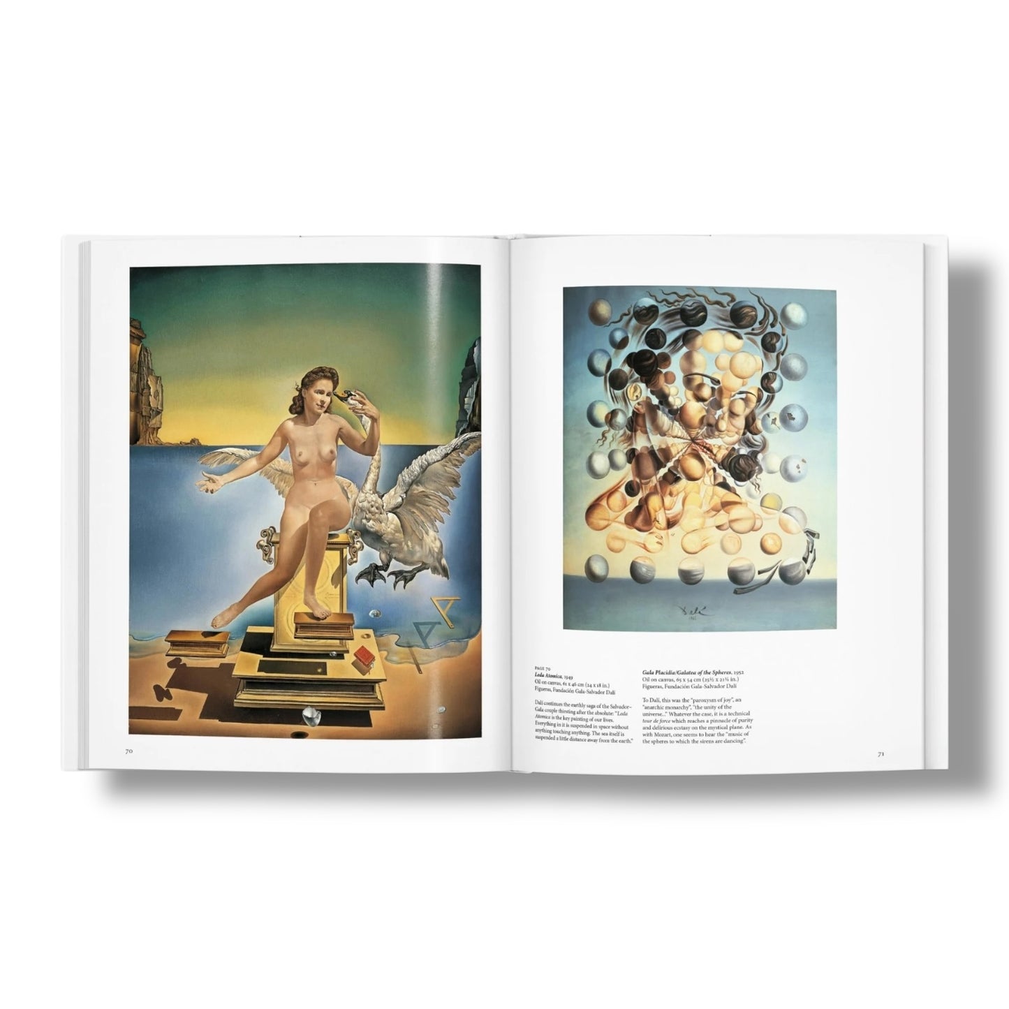 Salvador Dalí - Een reis door het surrealistische universum