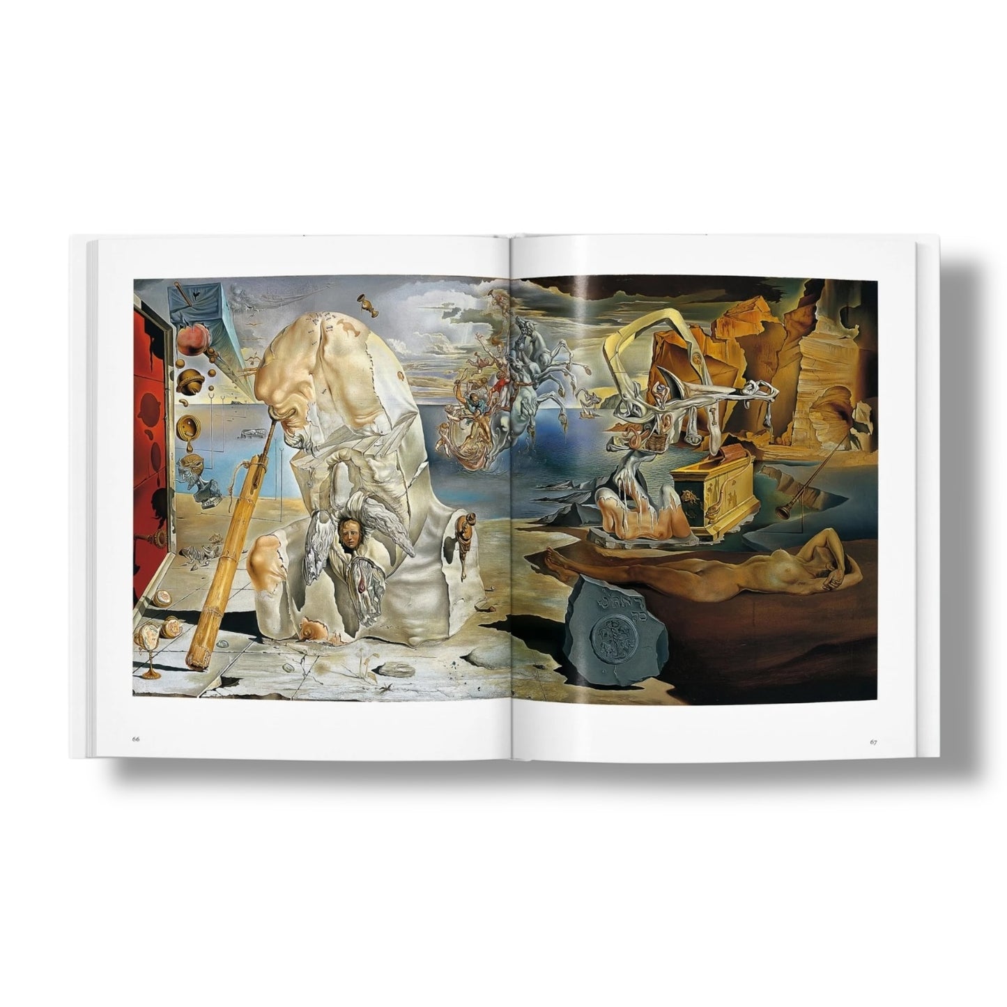 Salvador Dalí - Een reis door het surrealistische universum