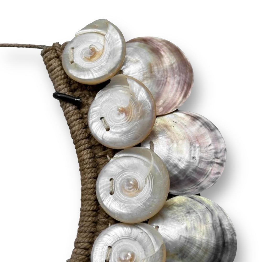 Iriserende schelpen ornament