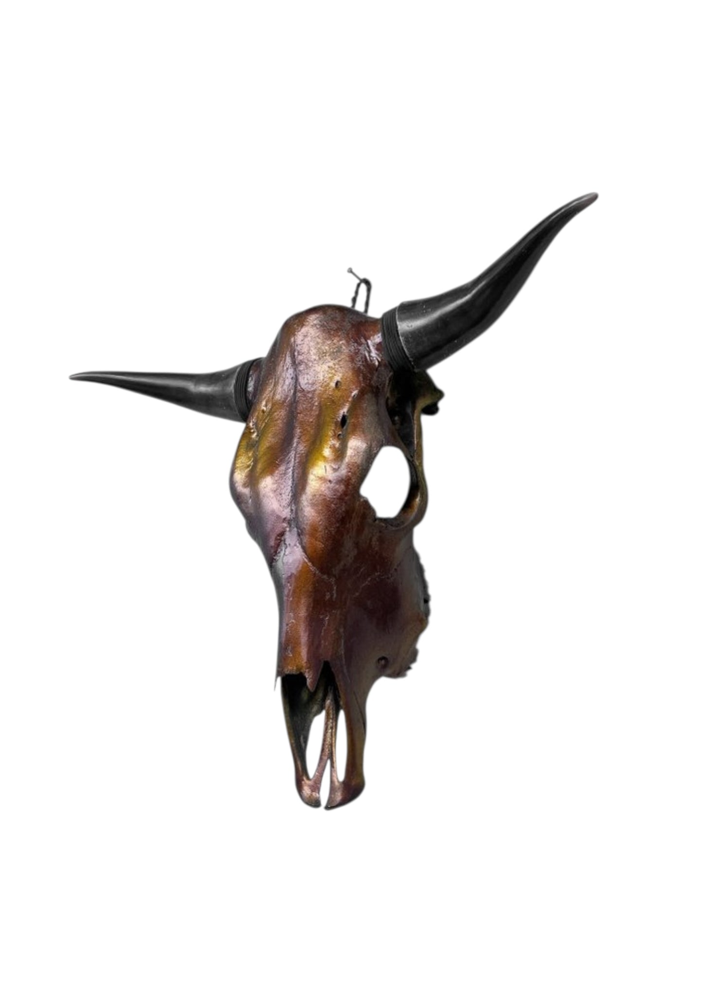 Stieren schedel- Metallic bruin