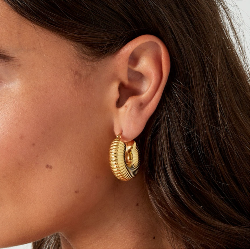 Earrings hoops