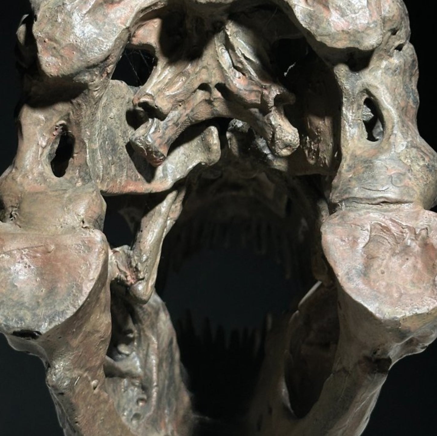 Replica Dinosaurus Schedel