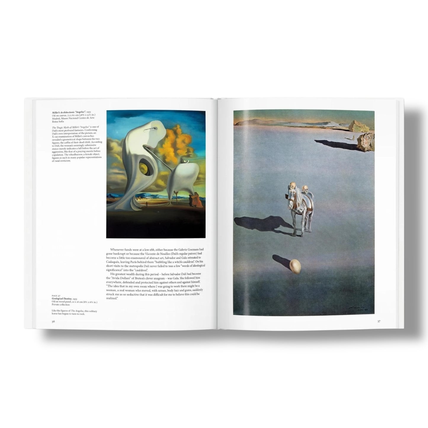 Salvador Dalí - Een reis door het surrealistische universum
