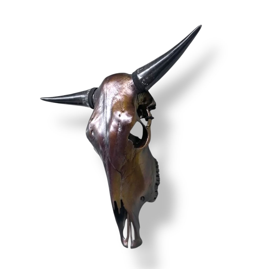 Stieren schedel metallic bruin