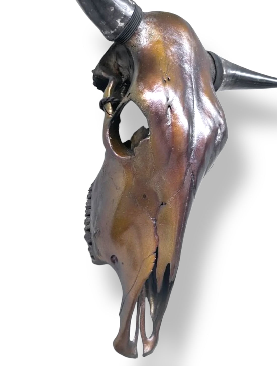 Stieren schedel metallic bruin