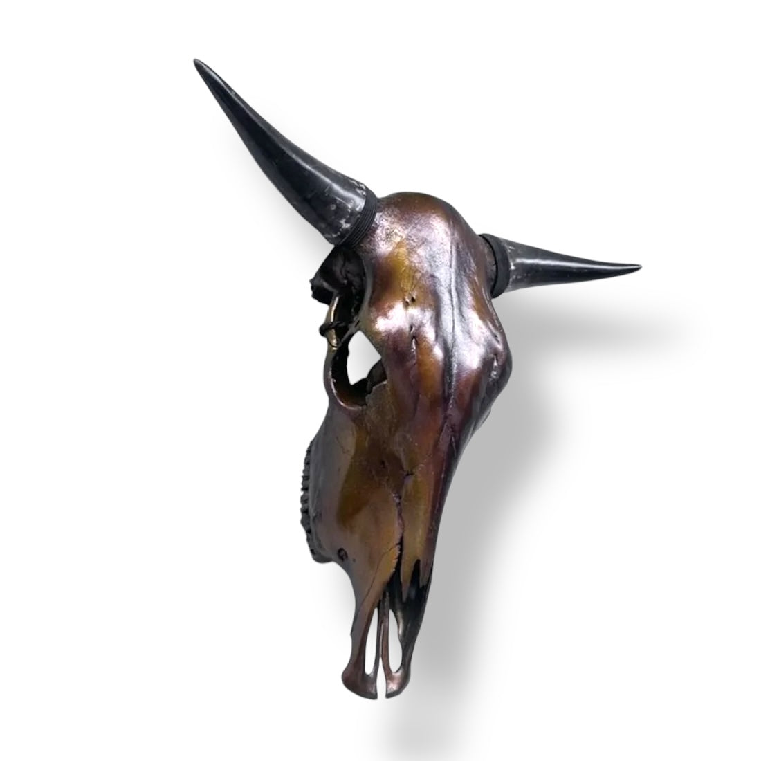 Stieren schedel metallic bruin