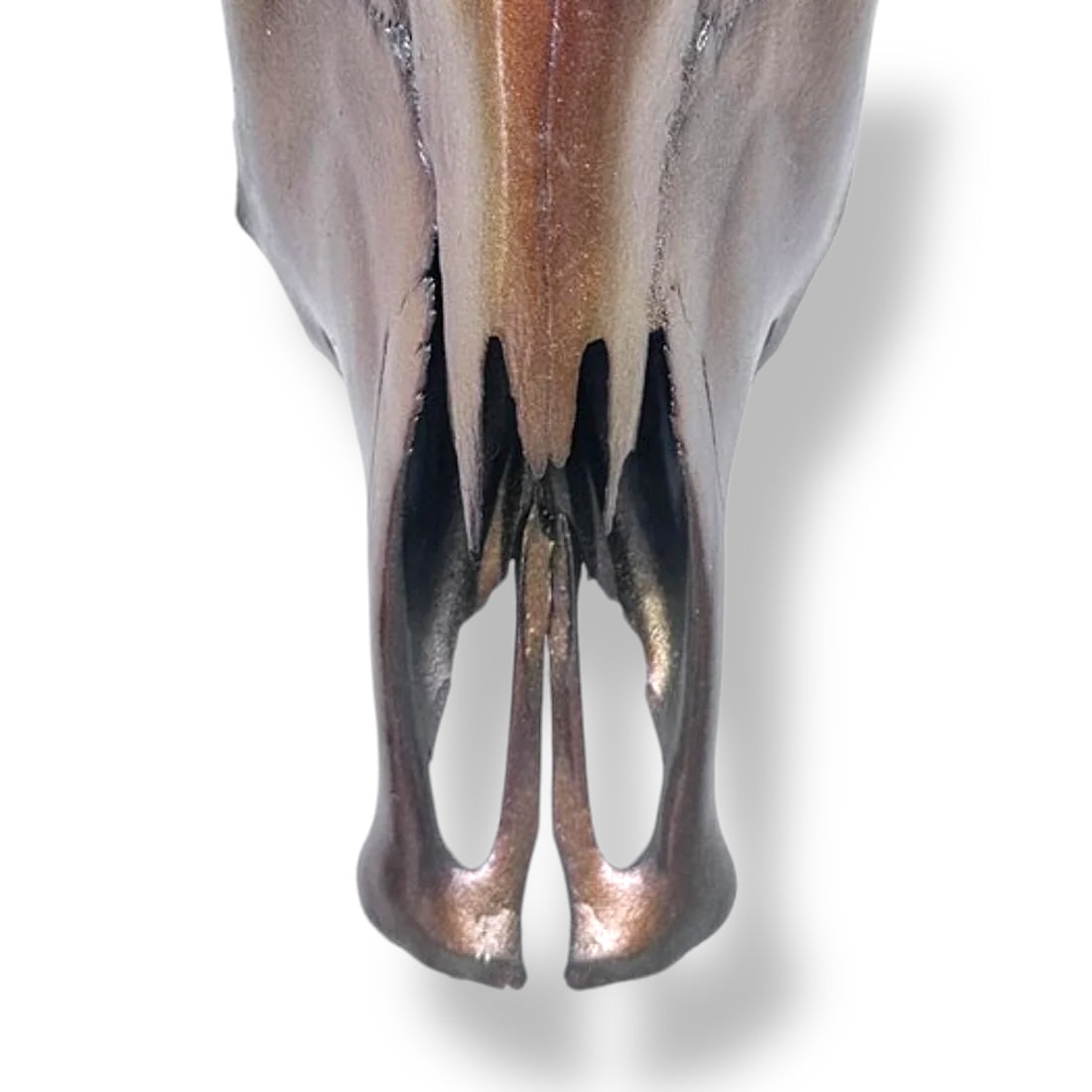 Stieren schedel metallic bruin