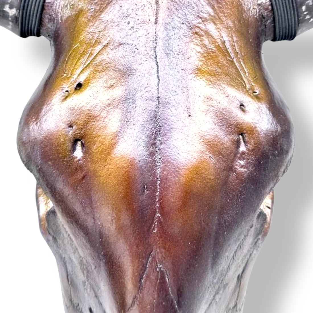 Stieren schedel metallic bruin