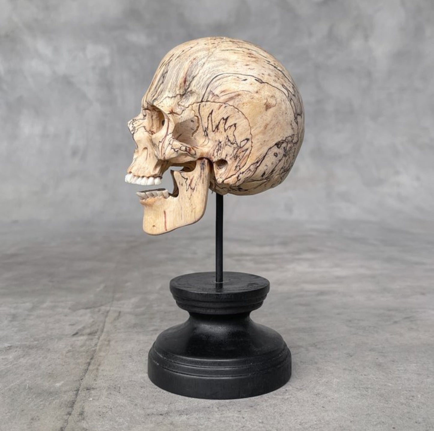 Tamarinde hout skull