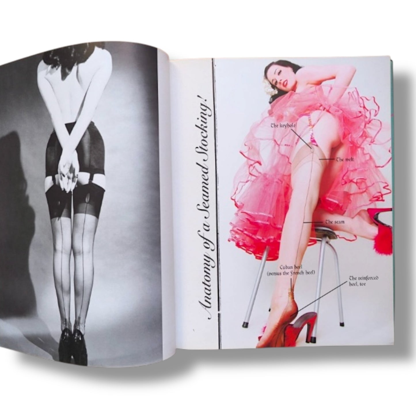 Burlesque and the art of the Teese - Dita Von Teese