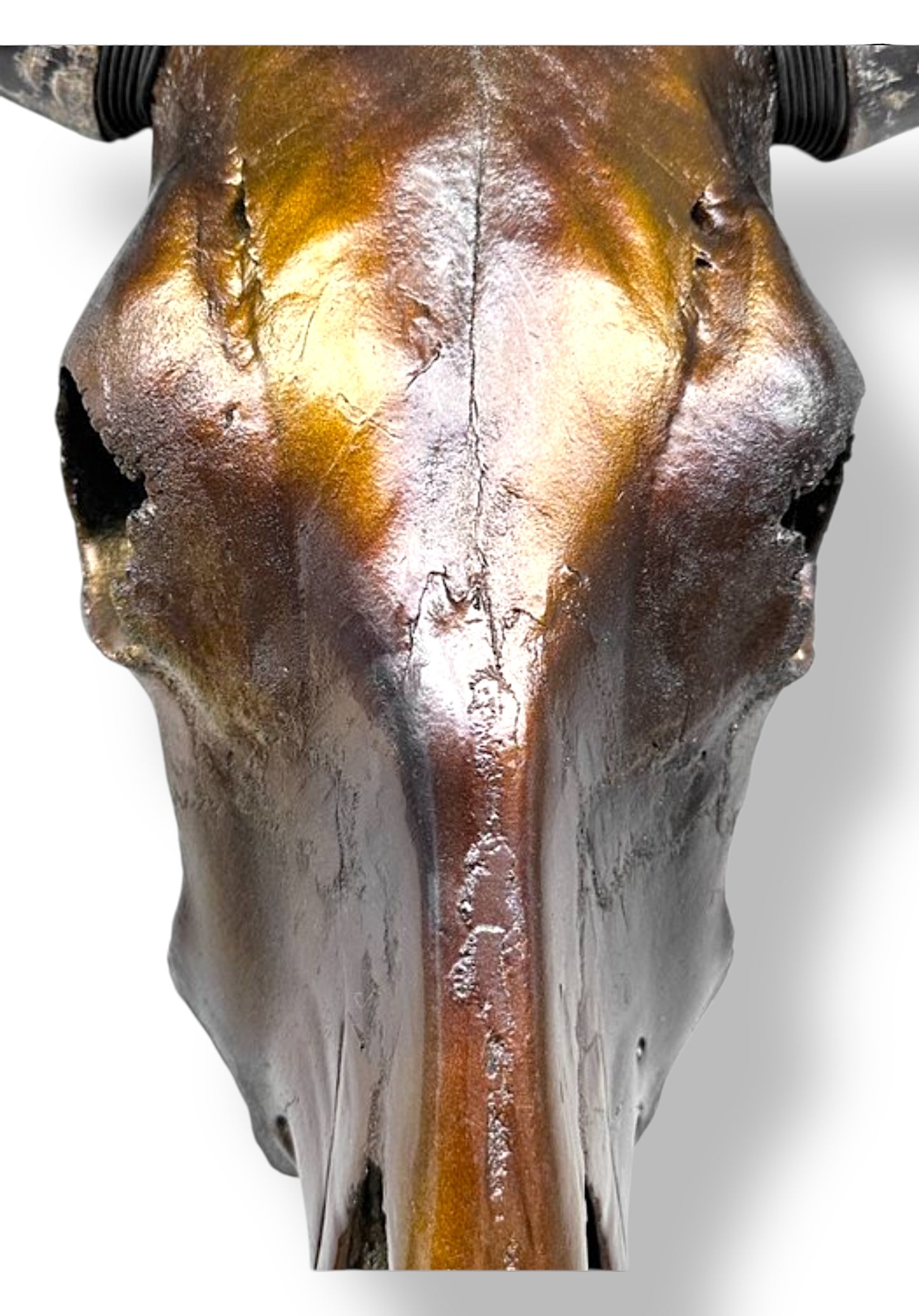 Bull skull metallic brown