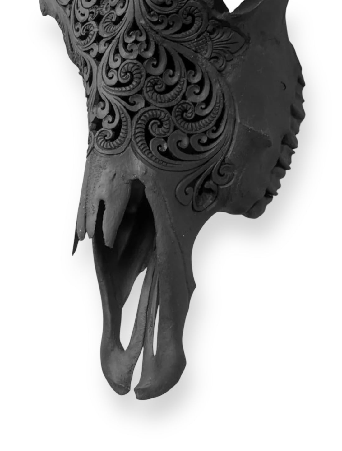 Hand carved cow skull