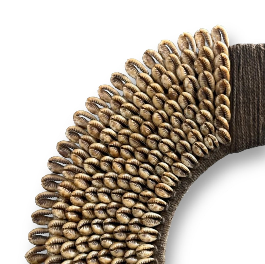 Adorno de concha de Nassa - caramelo