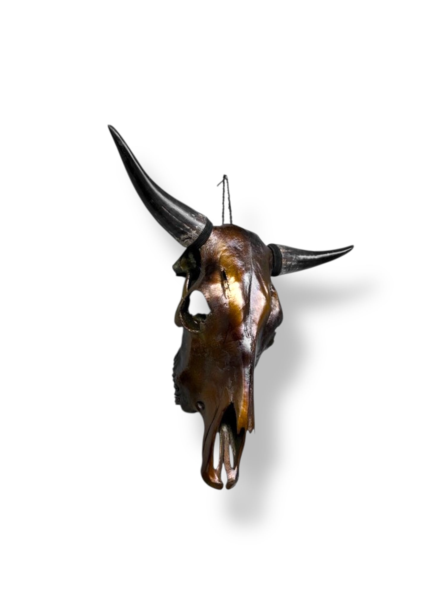 Bull skull metallic brown