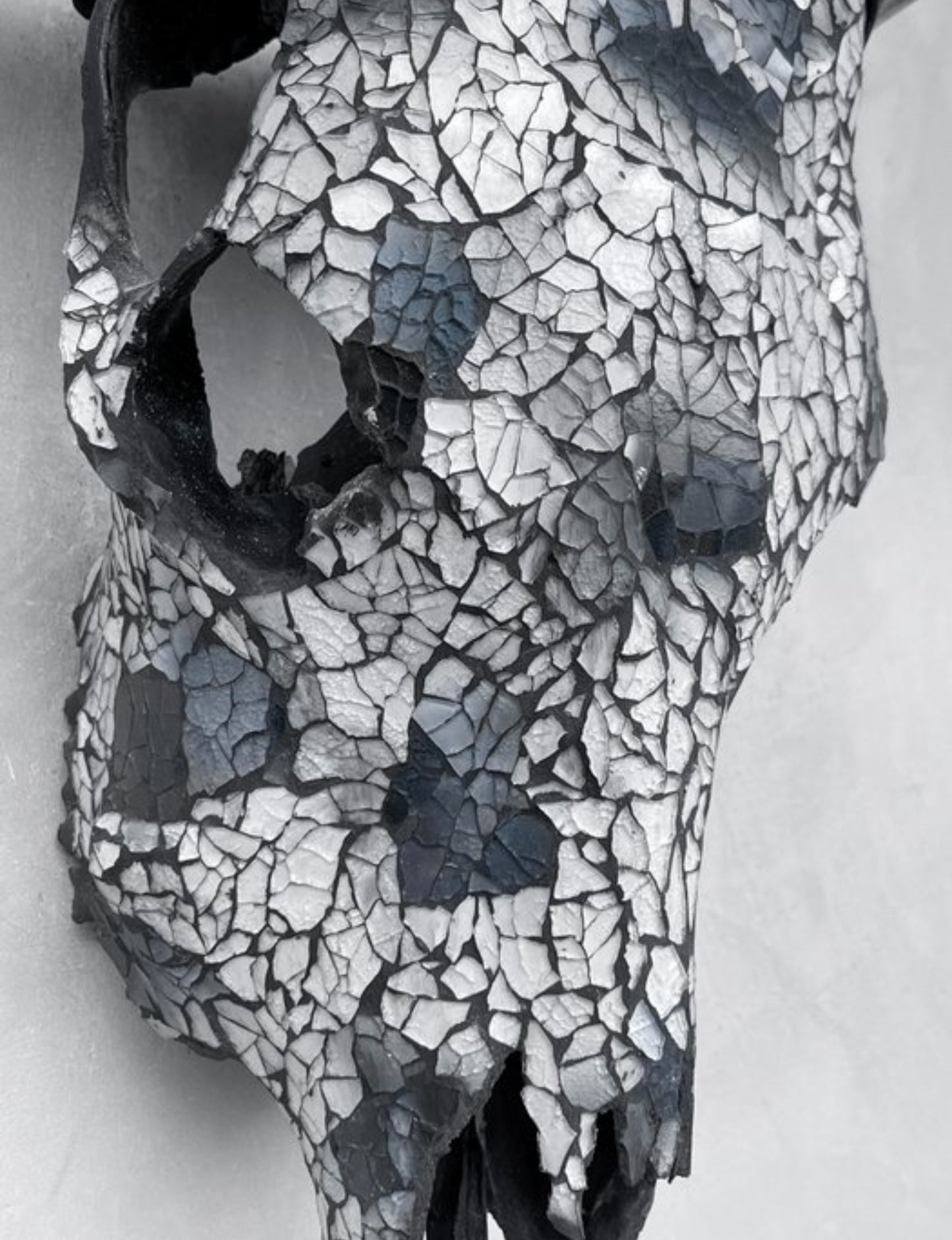 Cow Skull - Gray Mosaic