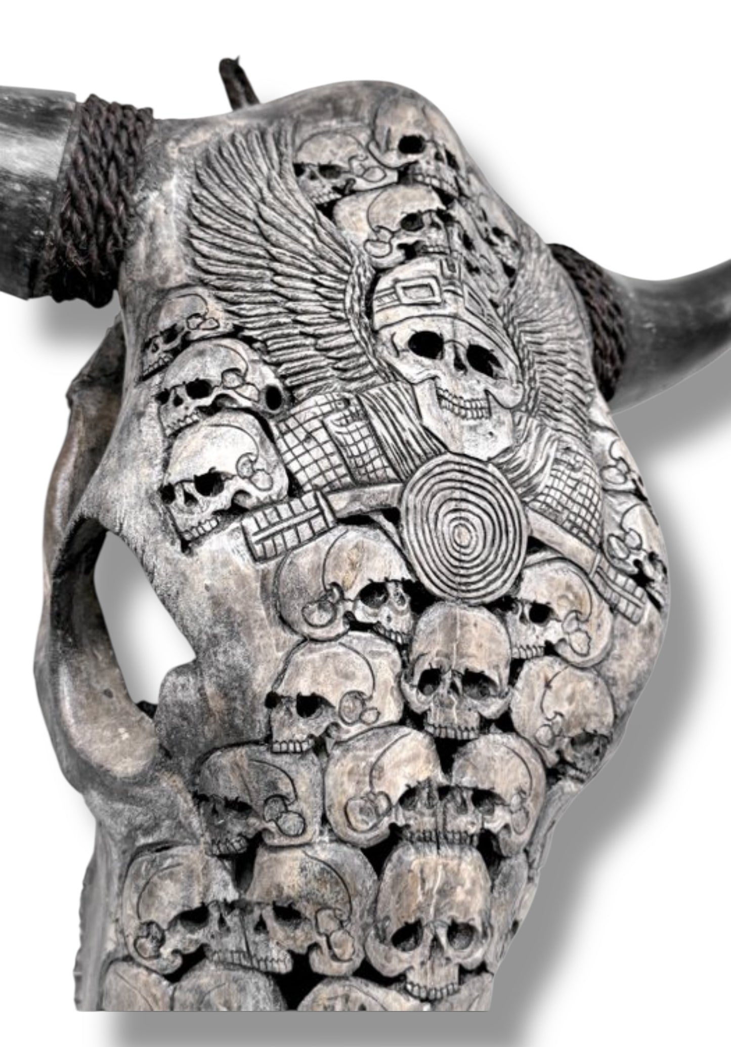 Handgesneden  Stieren Schedel met skulls