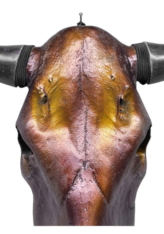 Stieren schedel- Metallic bruin