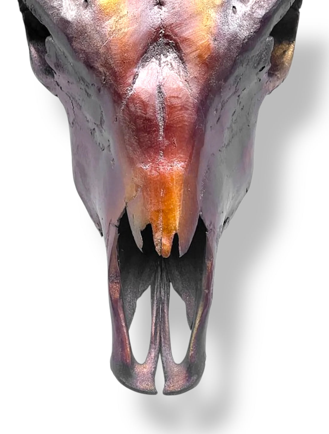 Bull skull metallic brown