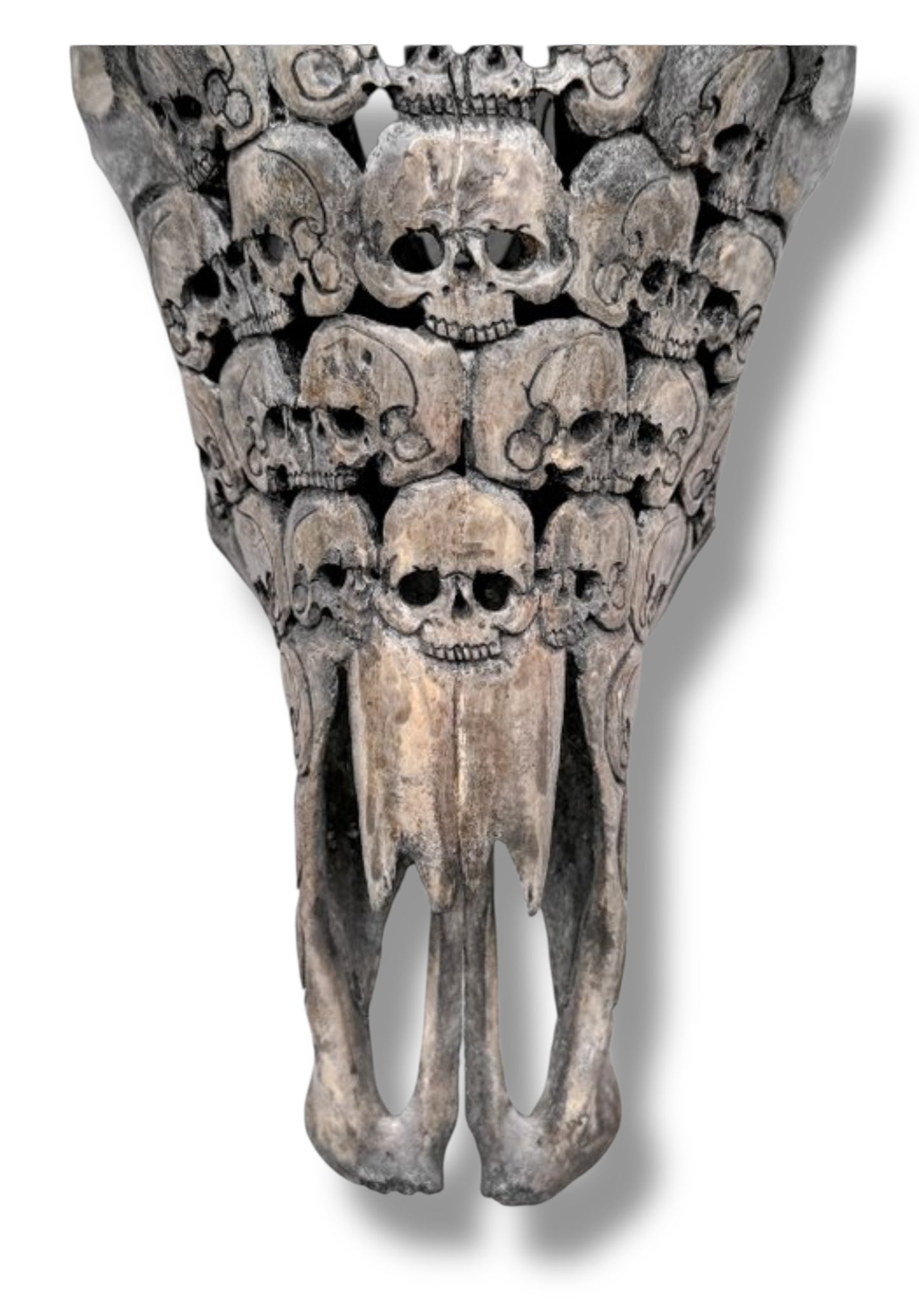 Handgesneden  Stieren Schedel met skulls