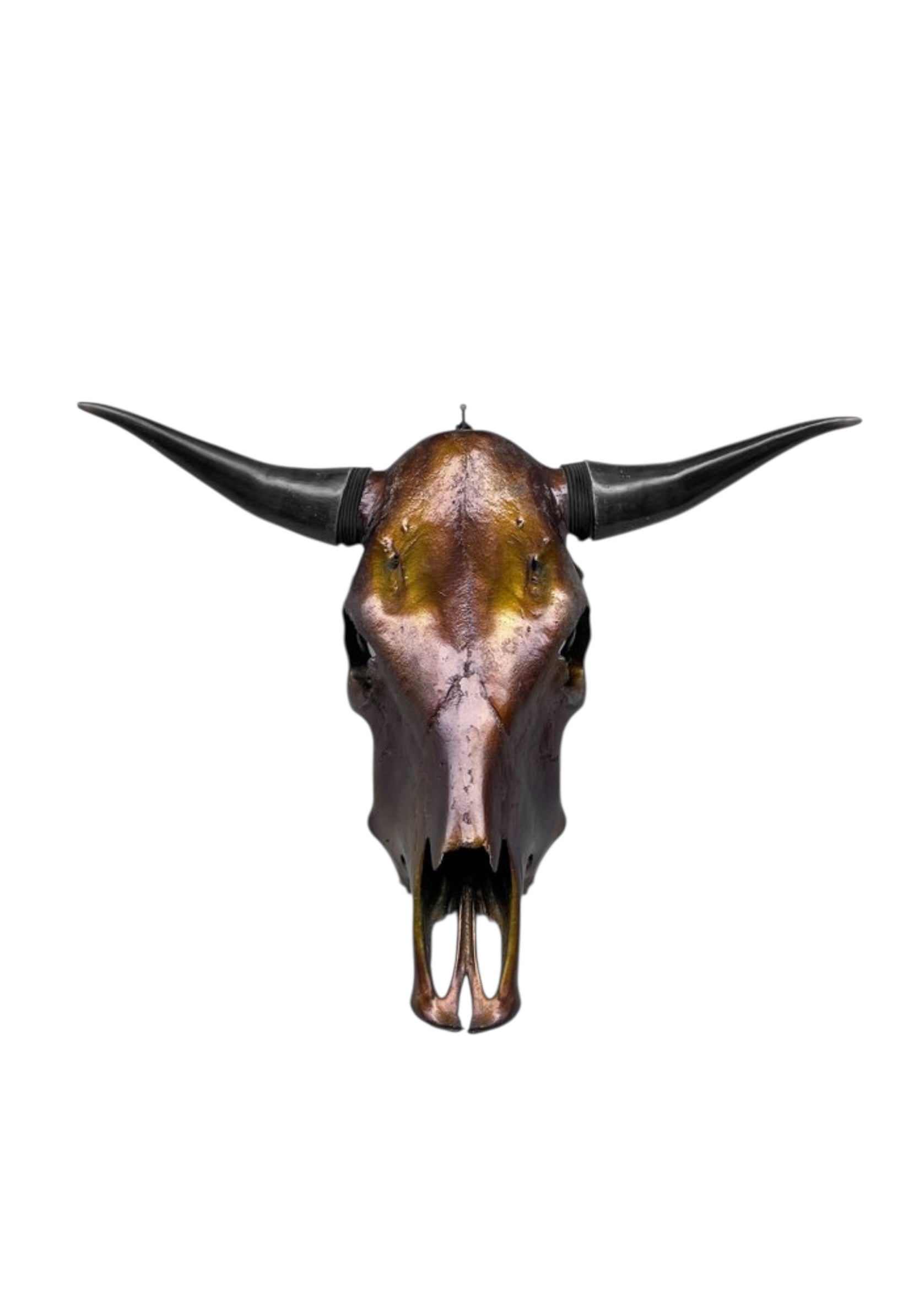 Stieren schedel- Metallic bruin