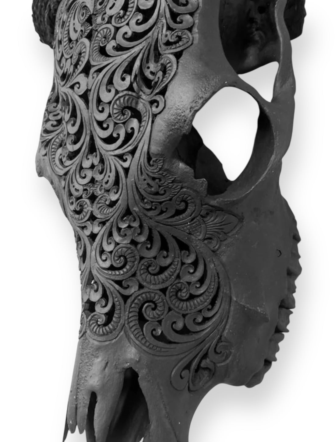 Hand carved cow skull