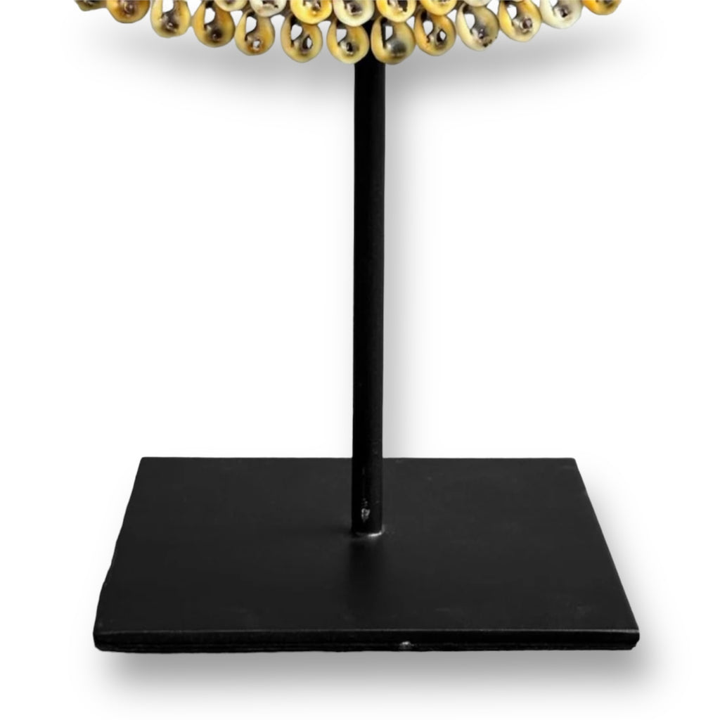 Adornos de concha de Nassa - amarillo/gris