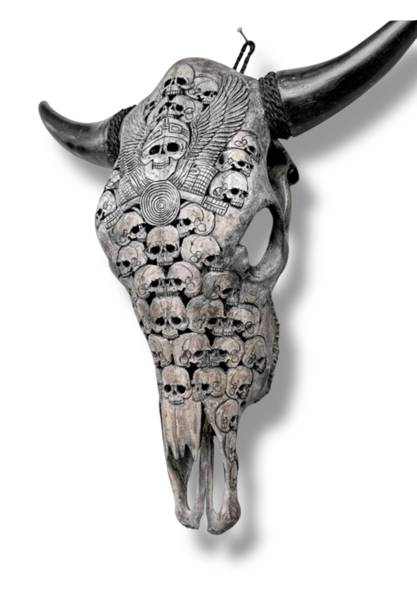 Handgesneden  Stieren Schedel met skulls