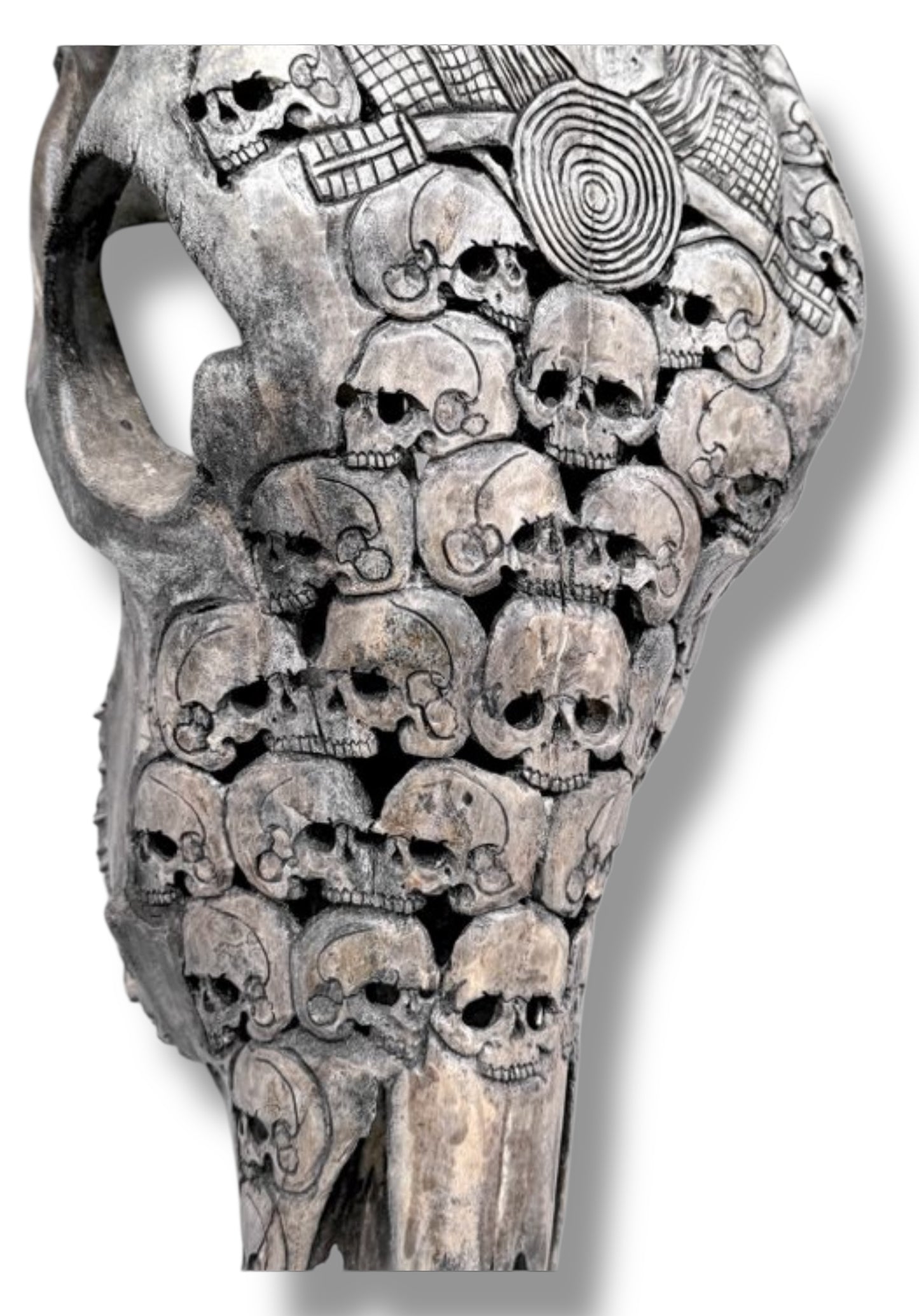 Handgesneden  Stieren Schedel met skulls