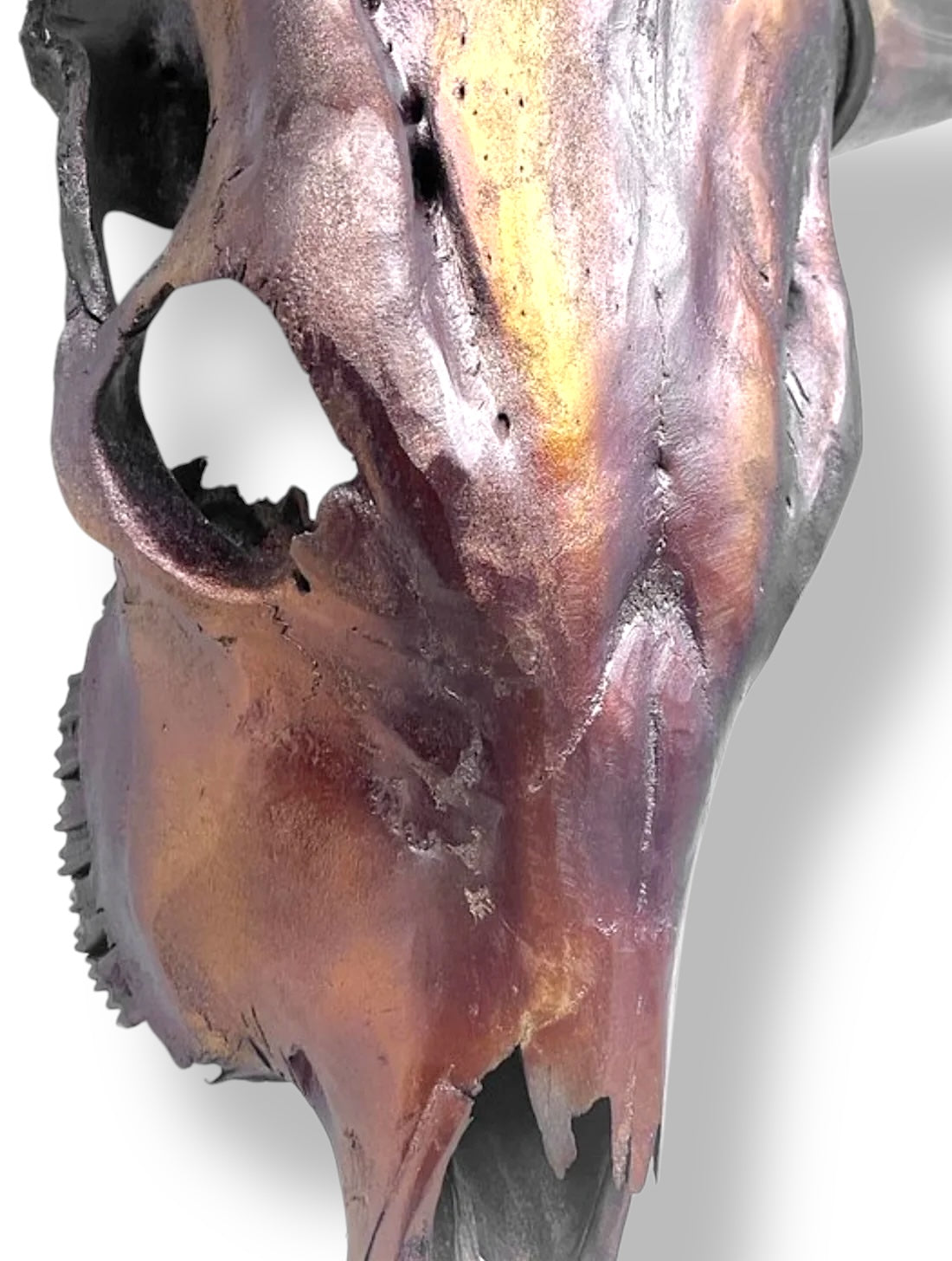 Bull skull metallic brown