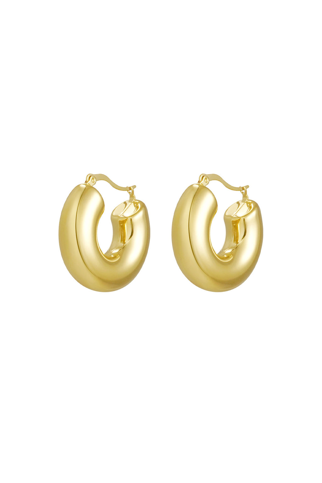 Earrings hoops