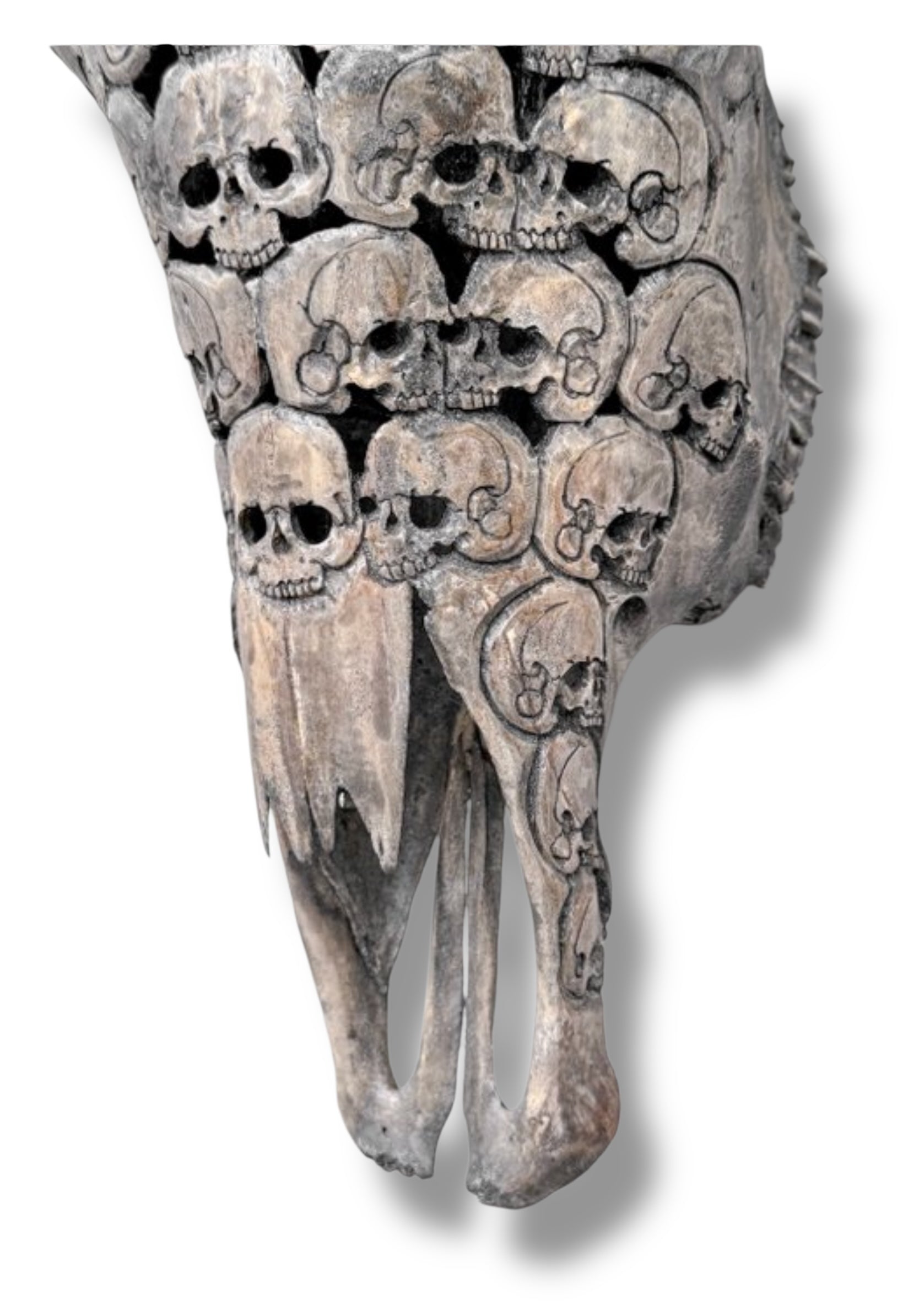 Handgesneden  Stieren Schedel met skulls