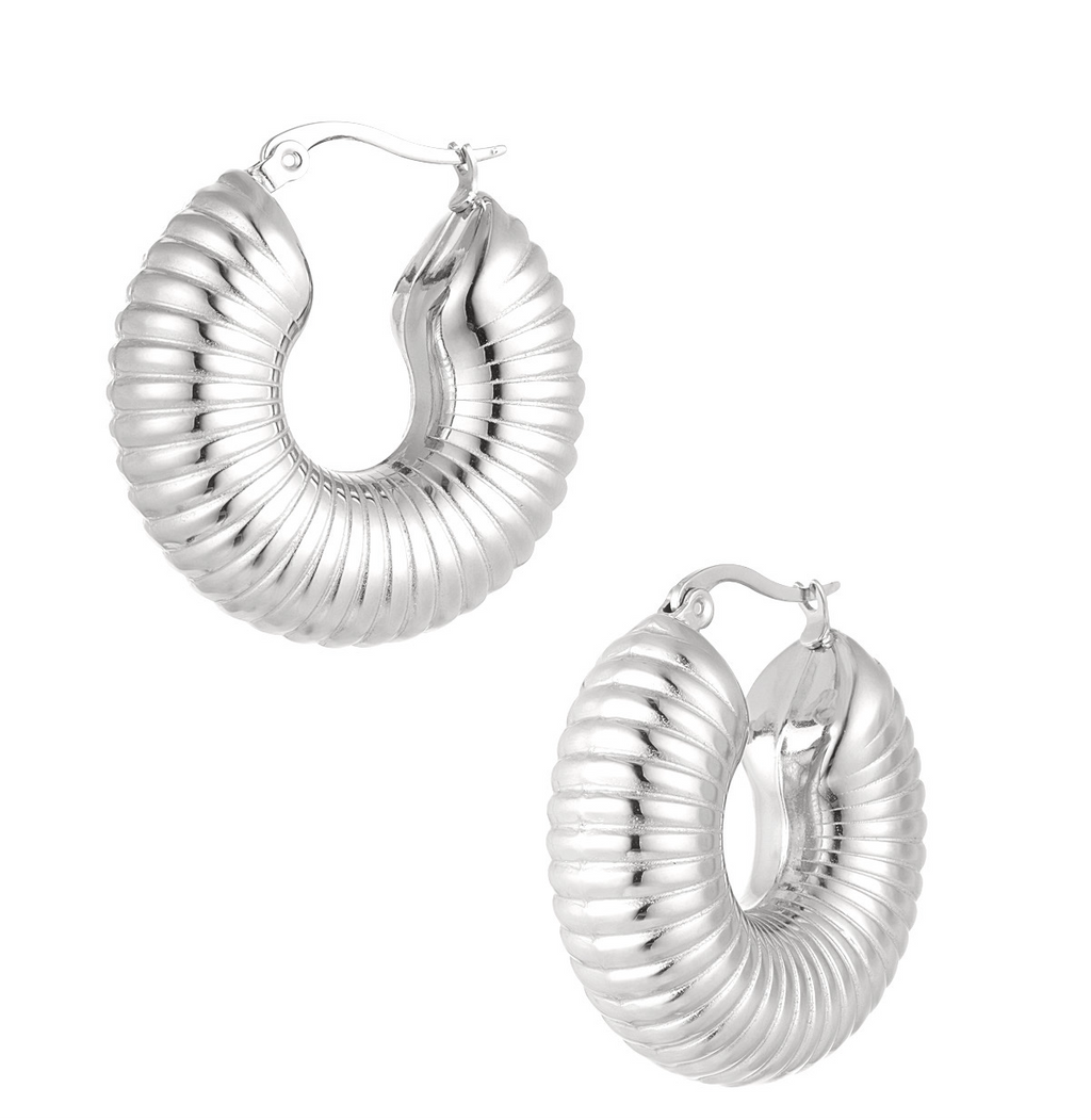 Earrings hoops