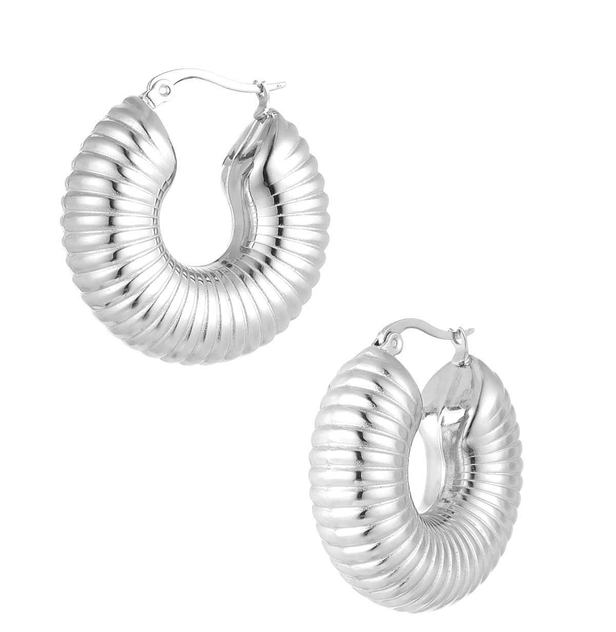 Earrings hoops