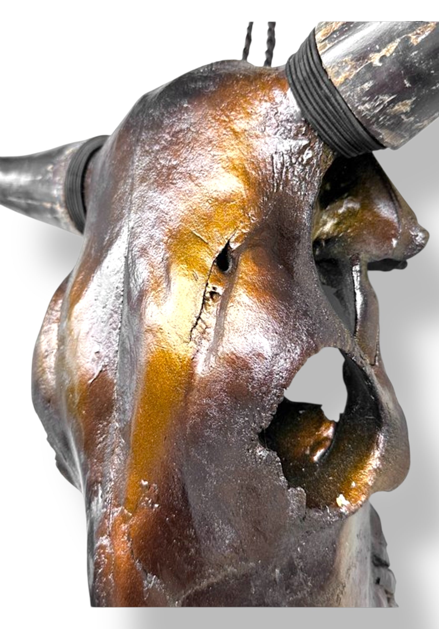 Stieren schedel metallic bruin