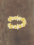 Ear cuff Goud met bloem steentjes
