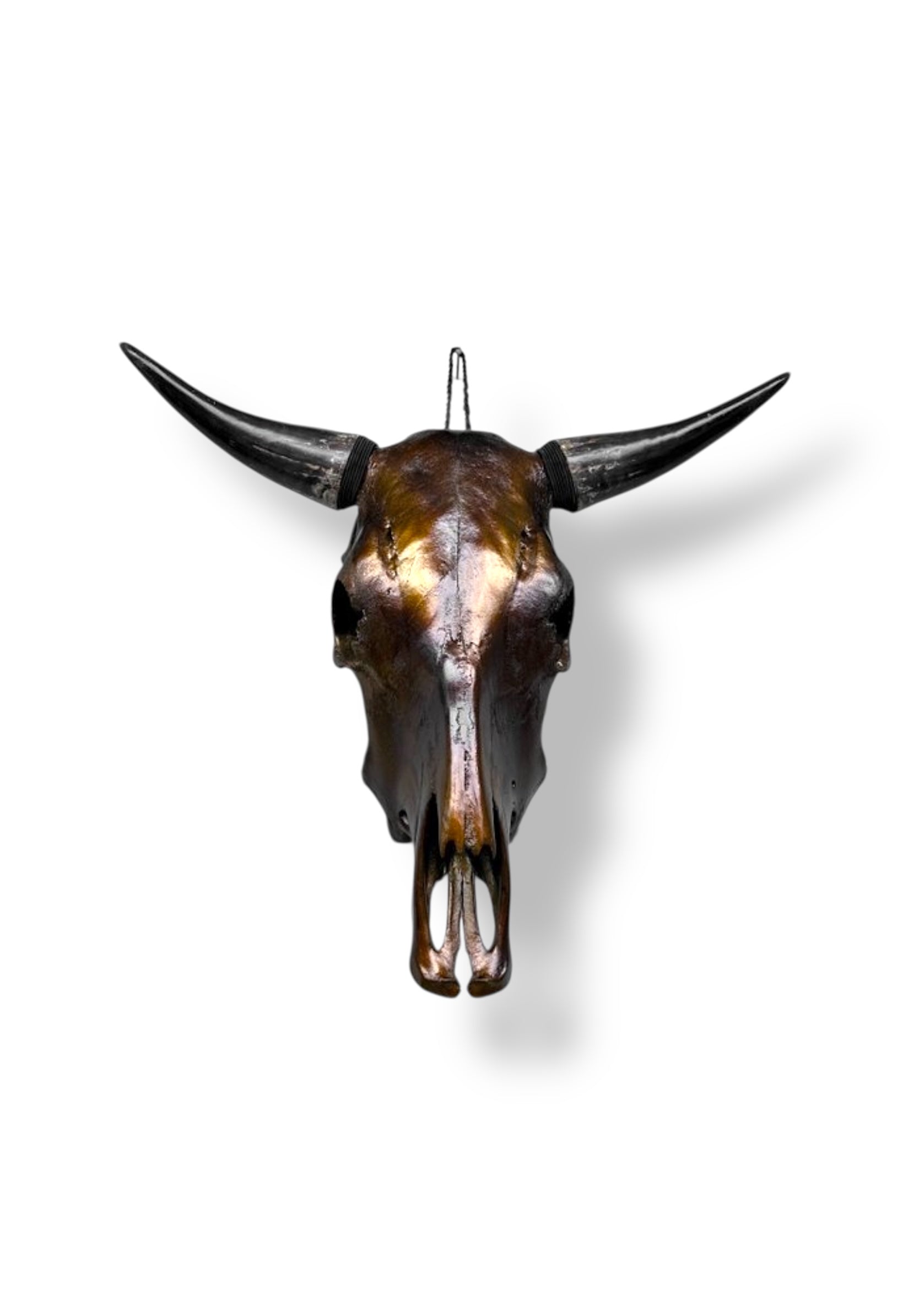 Stieren schedel metallic bruin