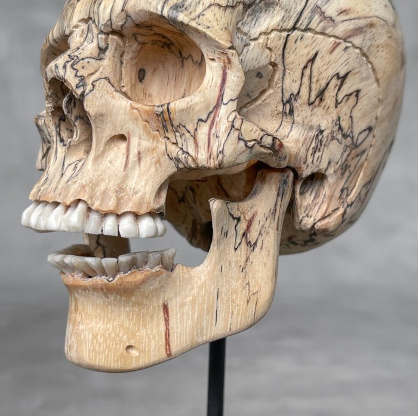 Tamarinde hout skull