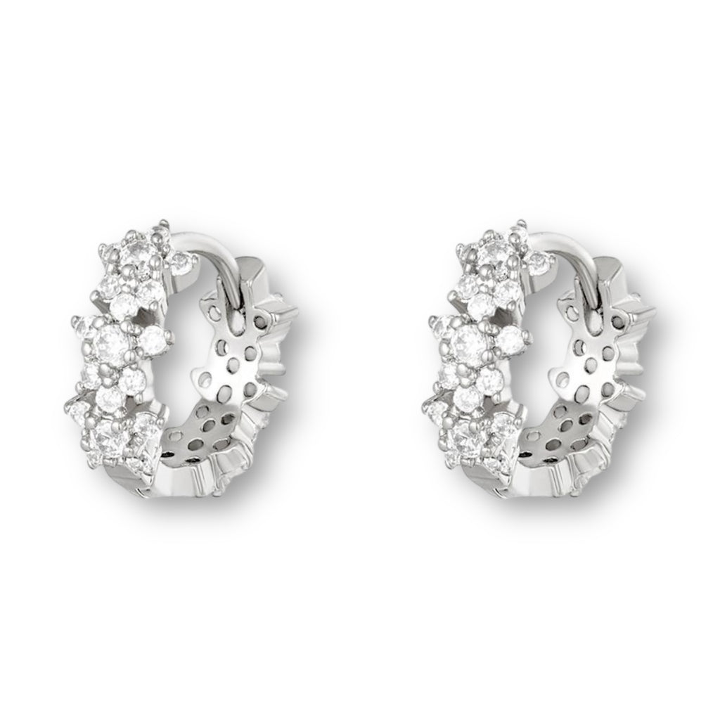 Small silver earrings with stones