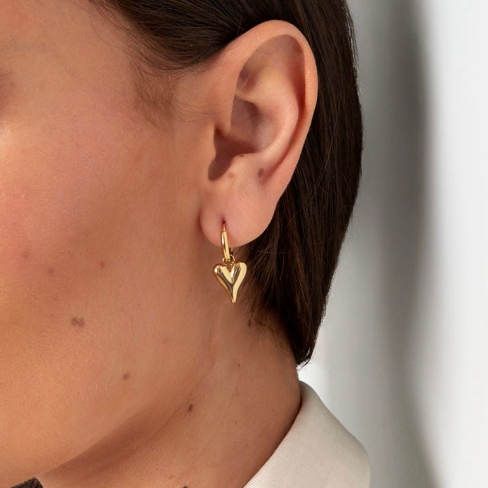 Silver earrings with heart